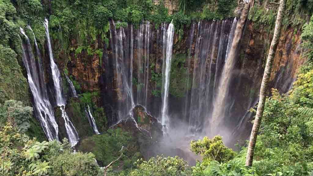Image result for tumpak sewu waterfall